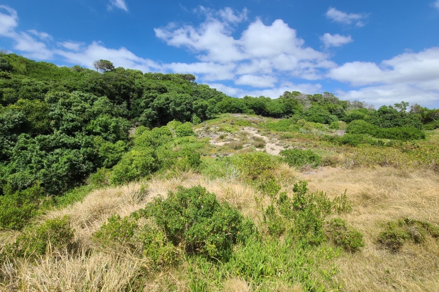 0 Bedroom Property for Sale in Paradise Beach Eastern Cape